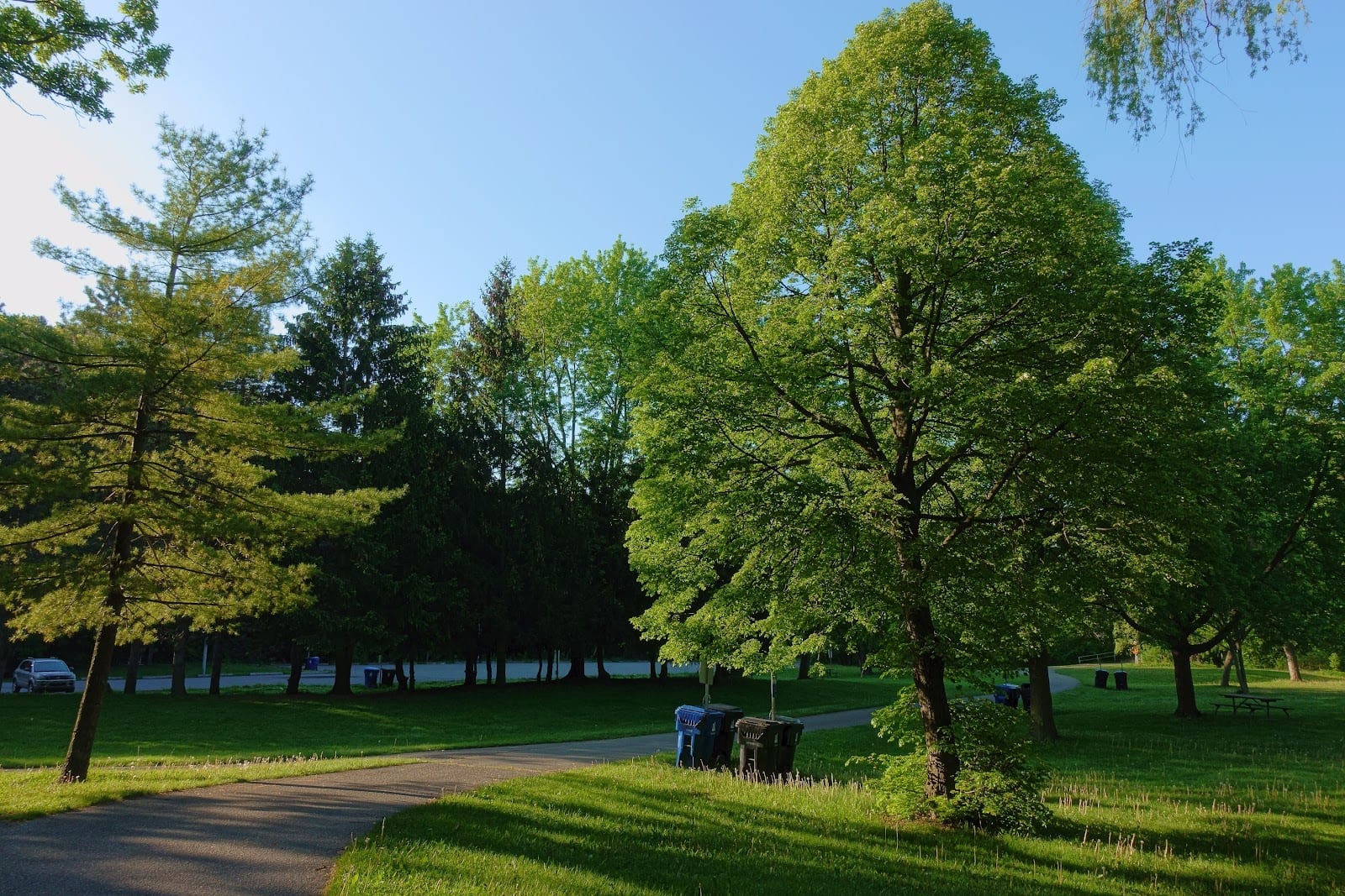 Derrydowns Park, photo 3