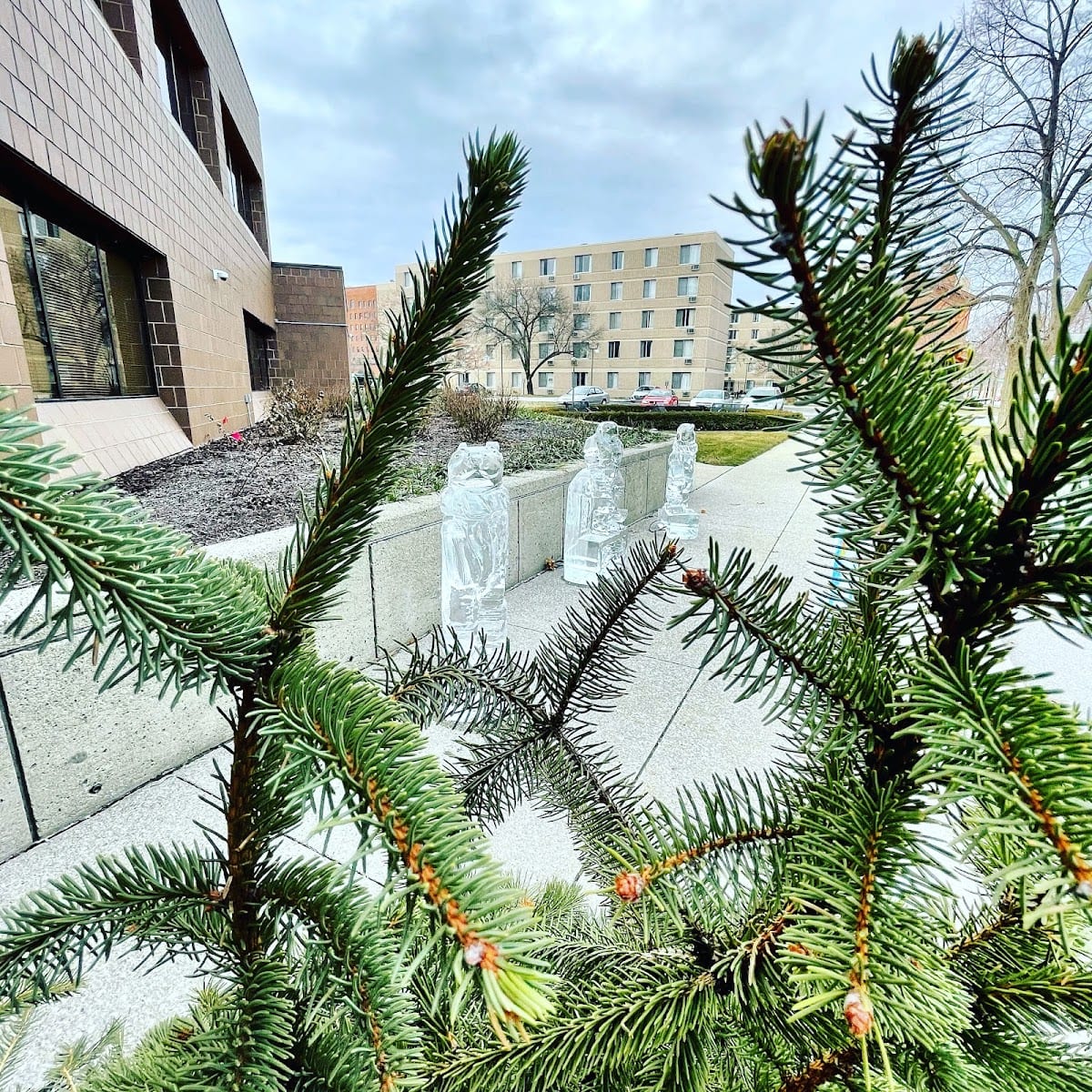 Fort Wayne Parks and Recreation's Community Center, photo 3