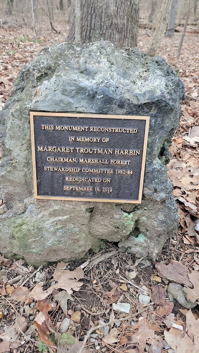 Marshall Forest, photo 3