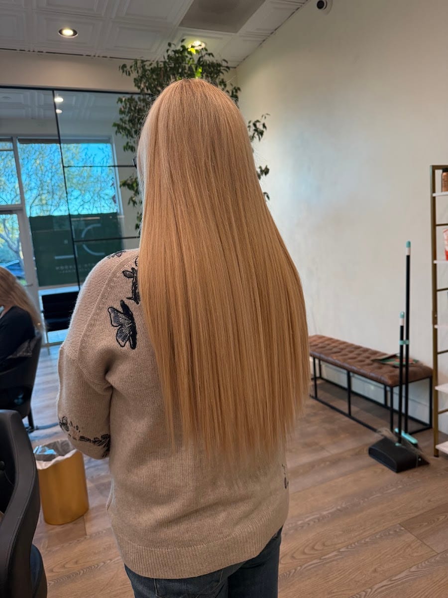 VOLT Salon II, photo 3