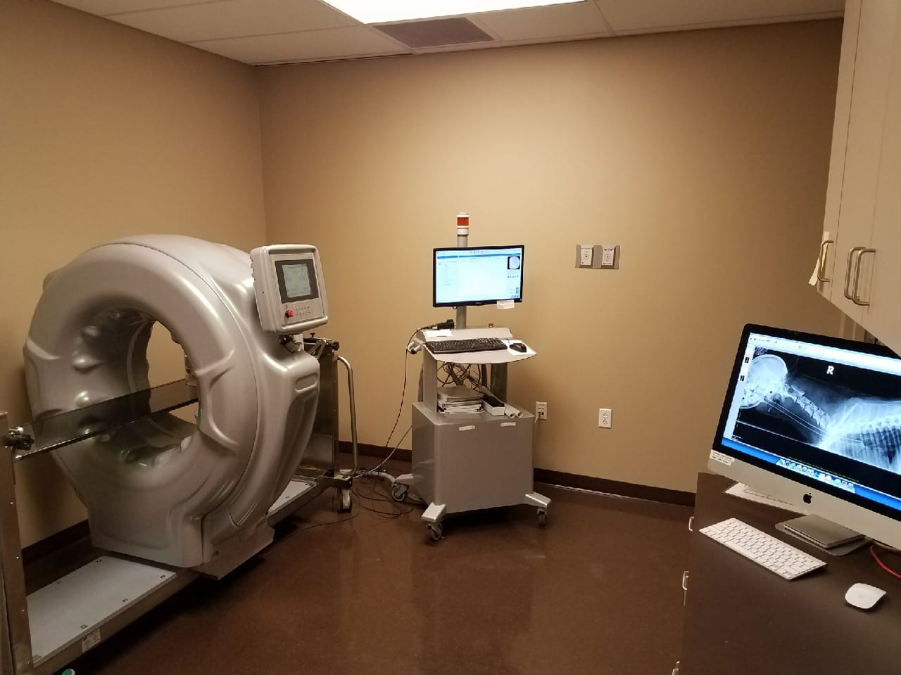 Arkansas Veterinary Emergency & Specialists