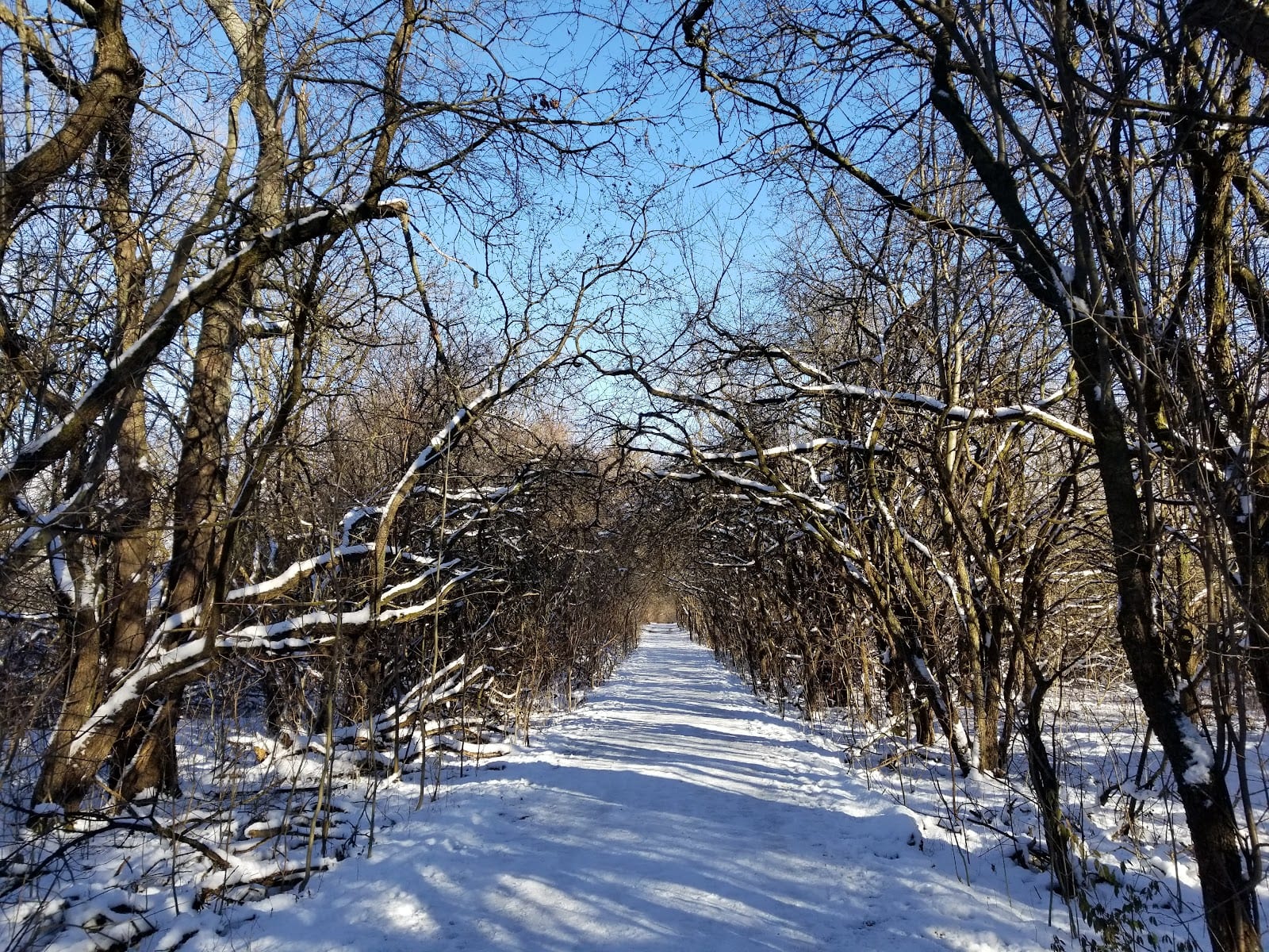 Oak Ridges Corridor, Conservation Reserve, photo 3
