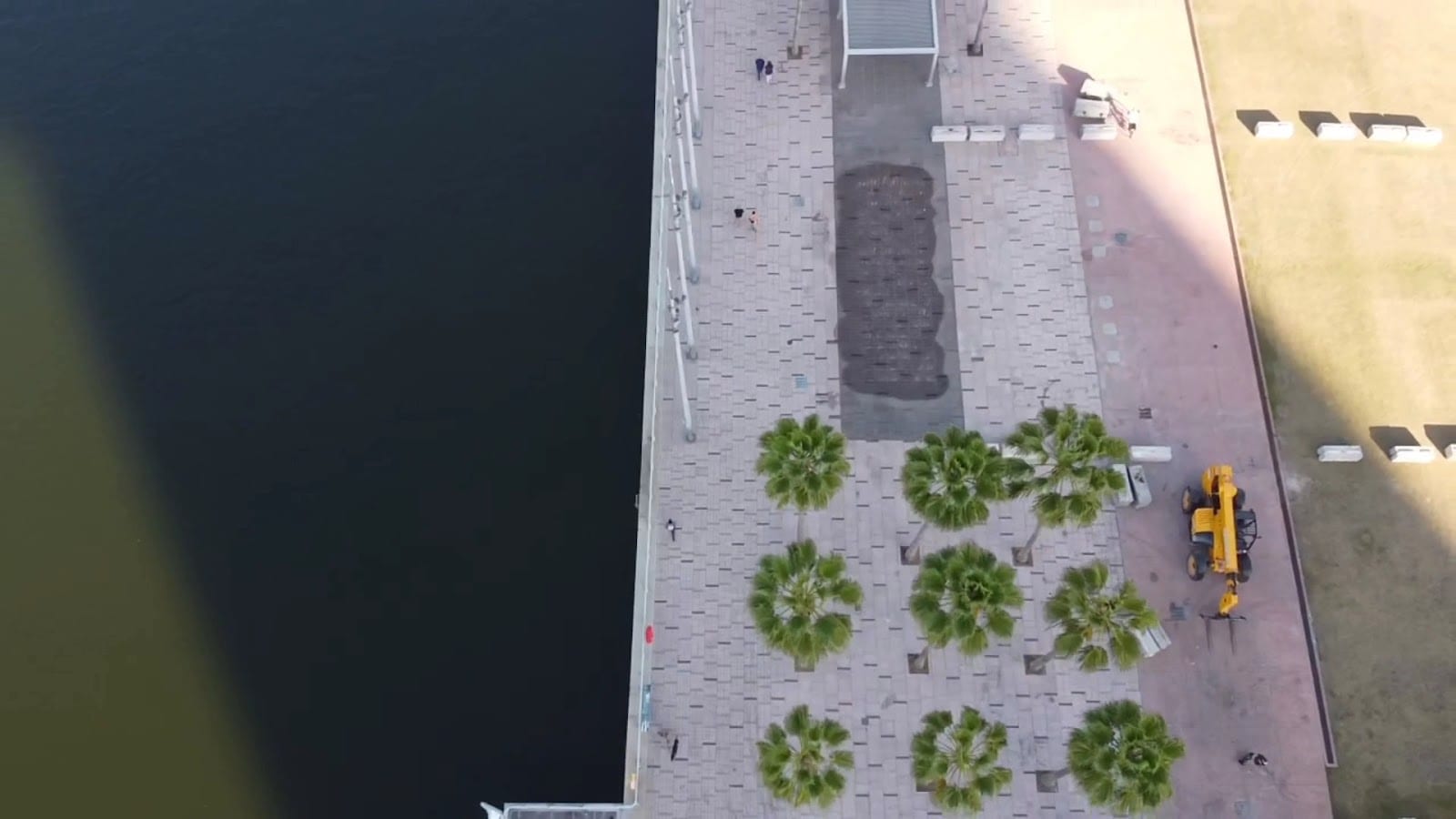 Curtis Hixon Waterfront Park, photo 2