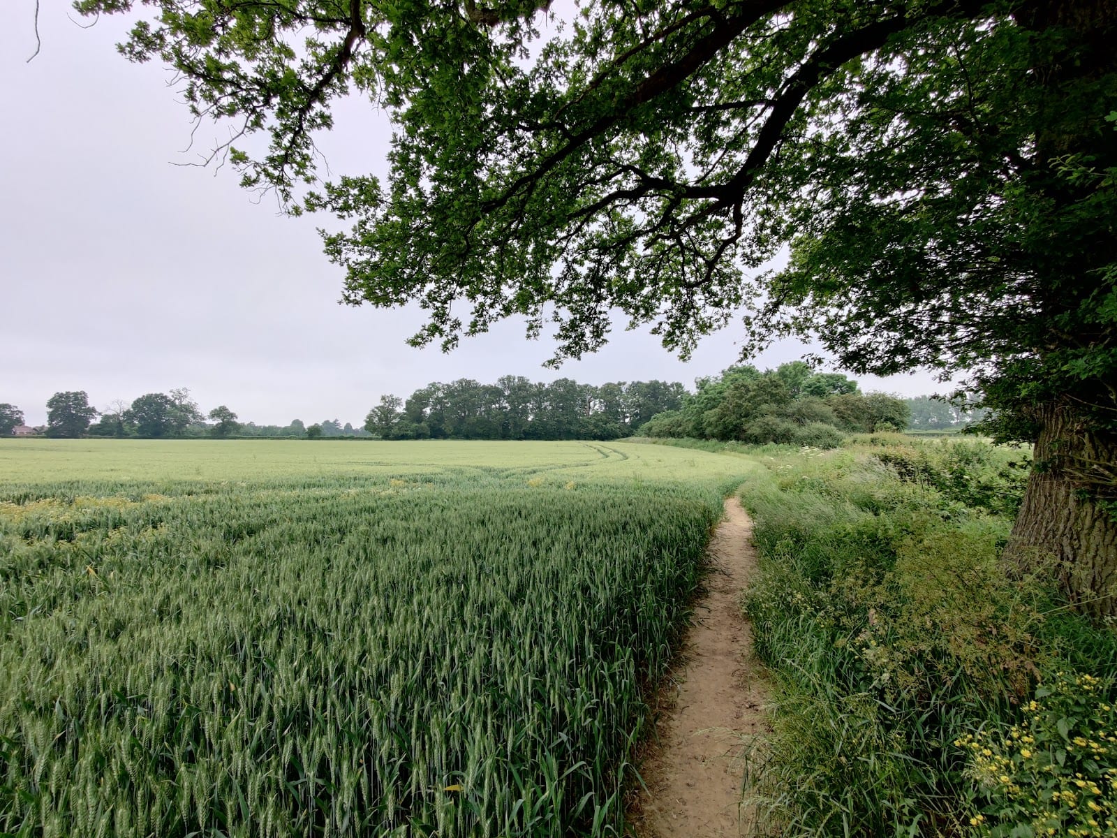 Highfield Park