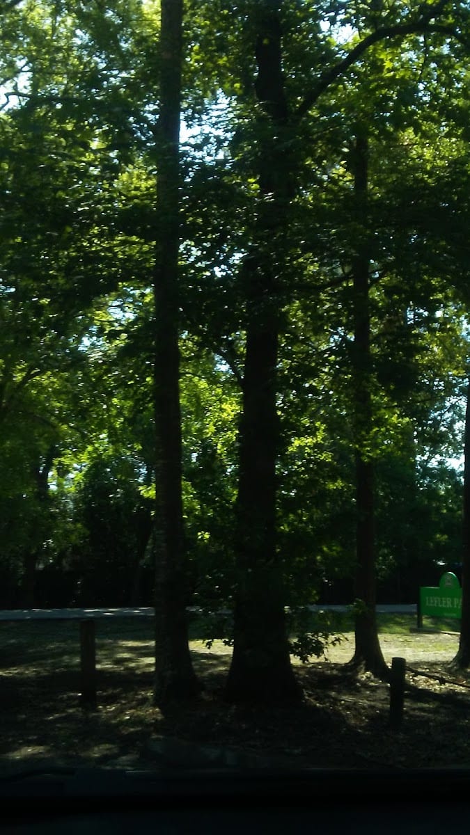 Lefler Park, photo 3