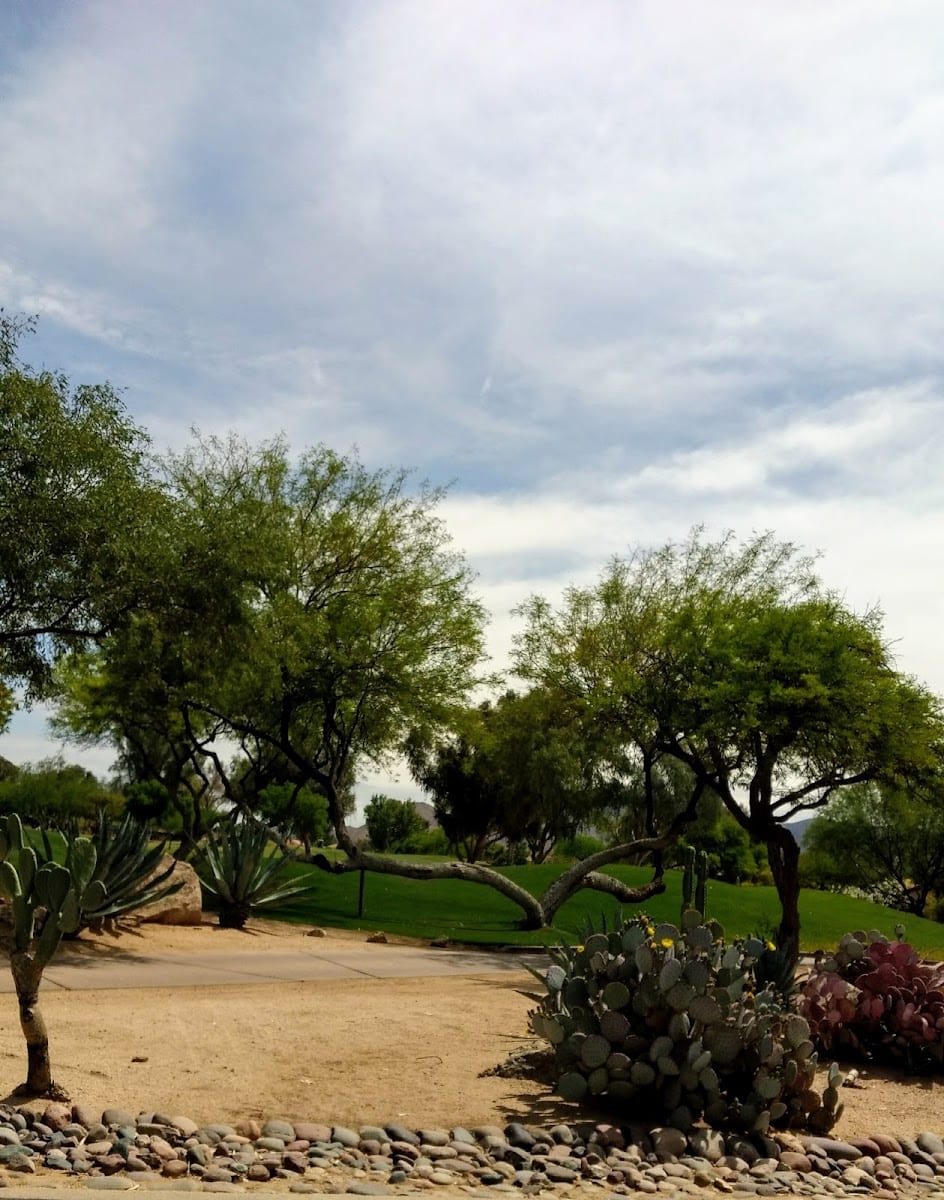 Pinnacle Peak Country Club, photo 4