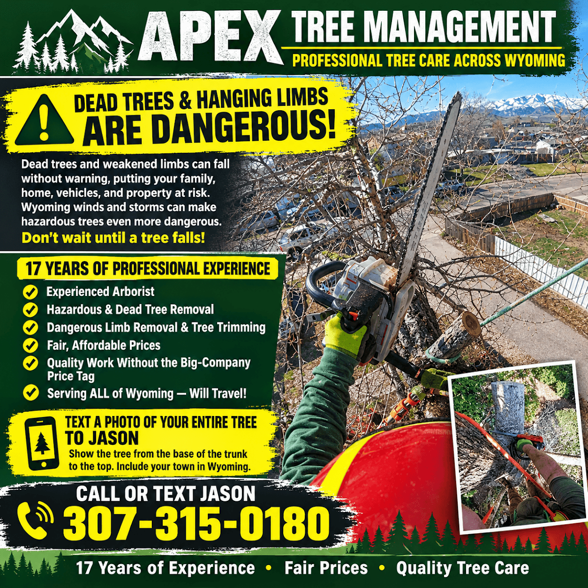 Apex Tree Management