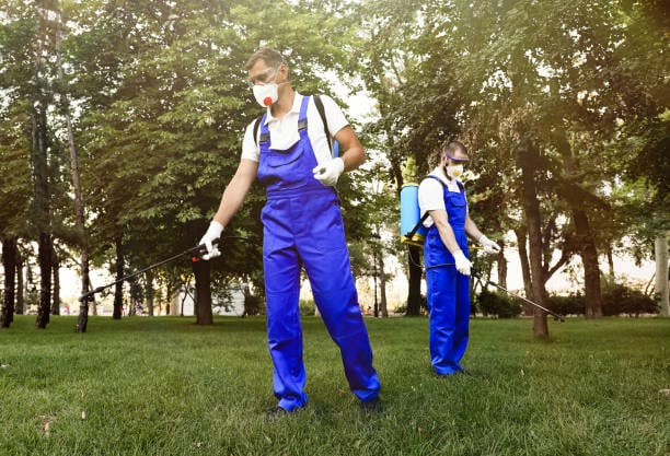 Eco Francisco Pest Solutions, photo 2