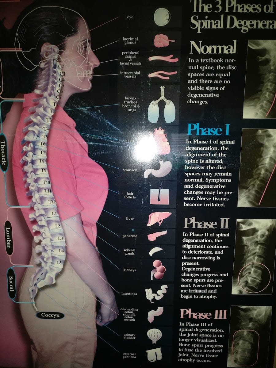 Handlos Chiropractic