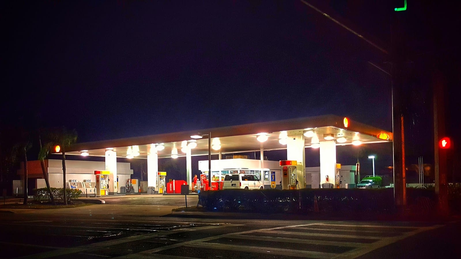 Shell, photo 4