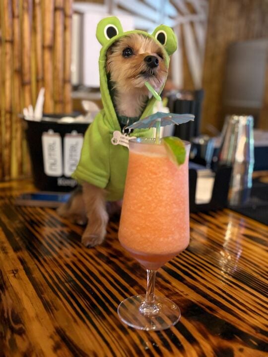 SKP Tiki Bar