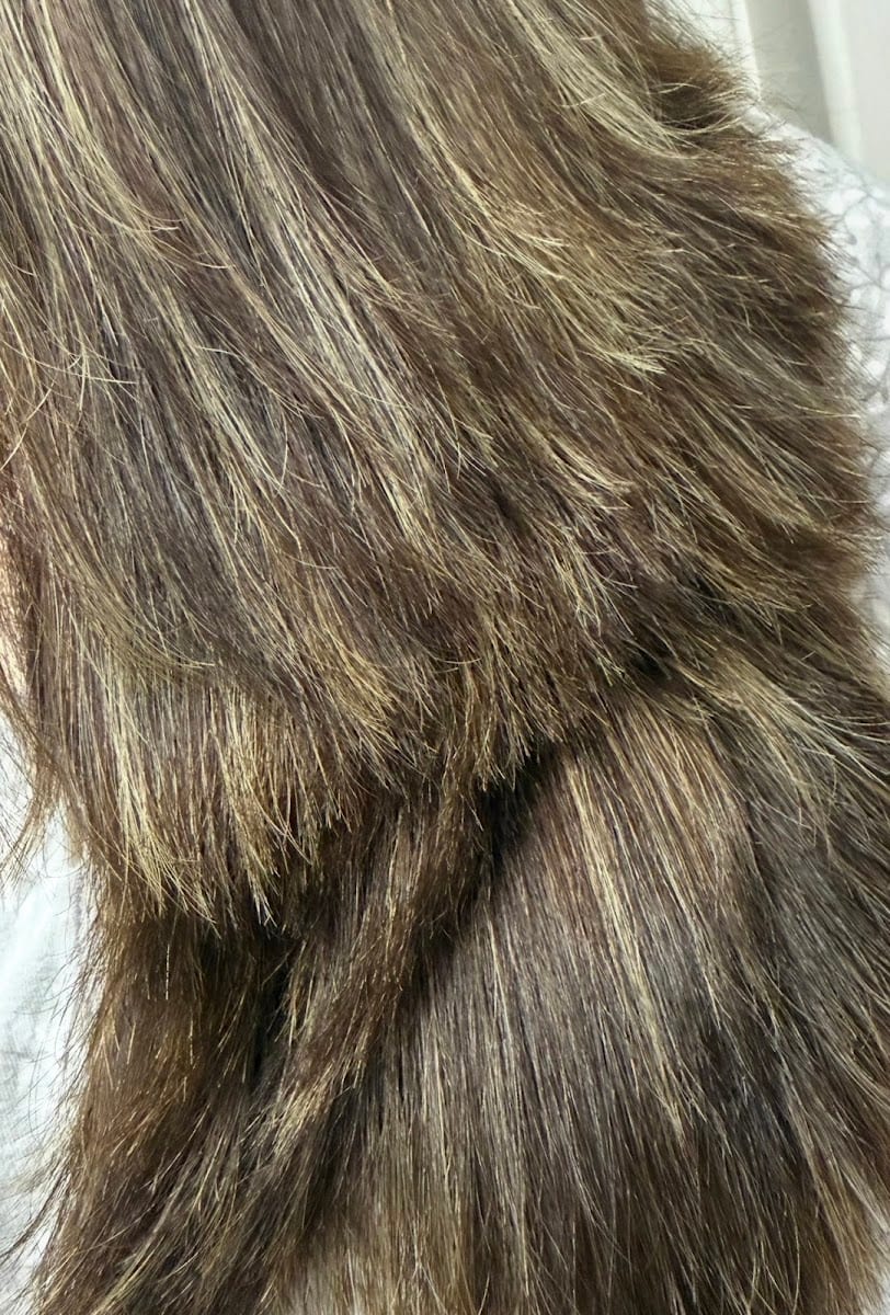 Ezquidio's Hair Studio, photo 2