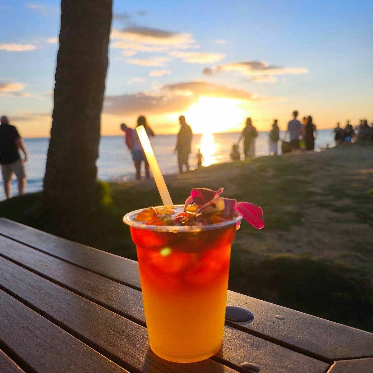 Koa Oasis Booze Shack, photo 2