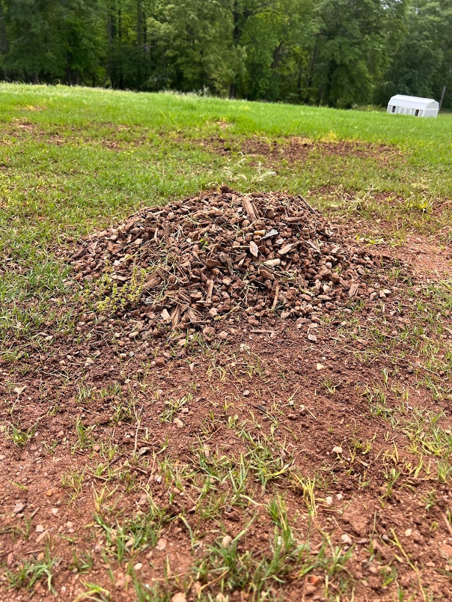 Collins Landscape, photo 3
