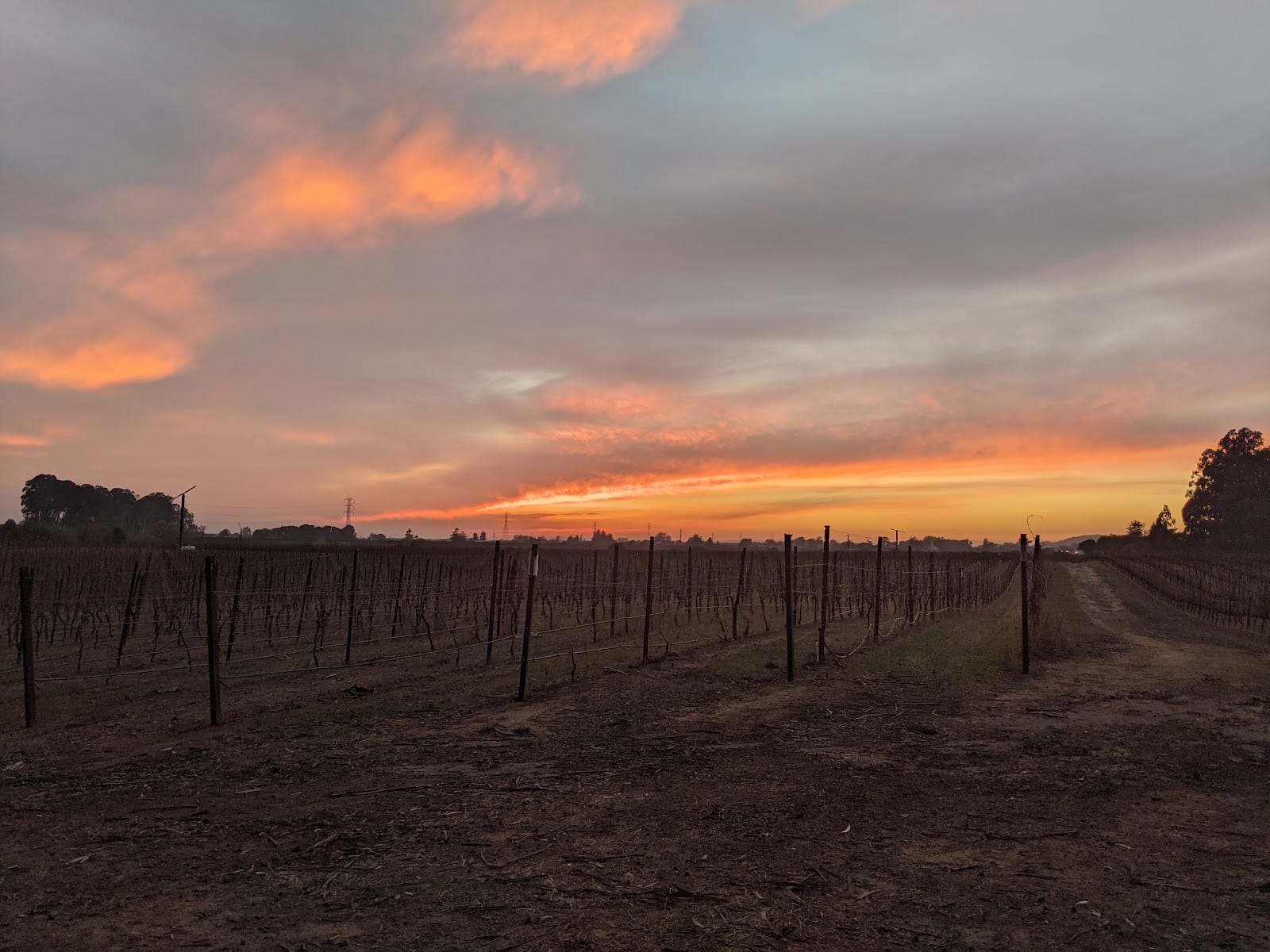 Stanly Ranch Area Public Trails, photo 2