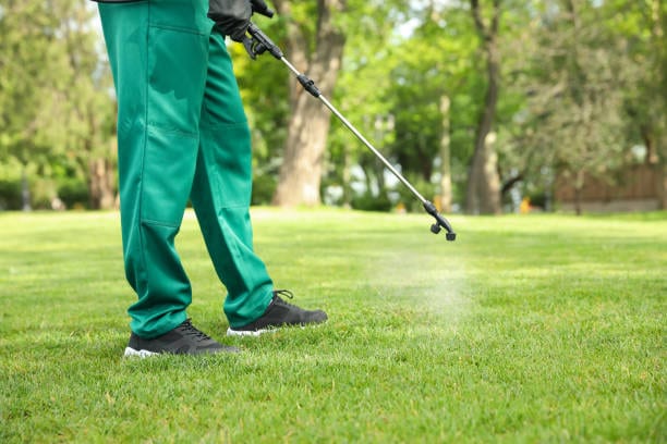 MeadowHaven Peak Pest Control