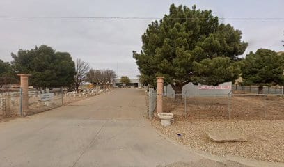 Davis Lawn & Tree Care, photo 2