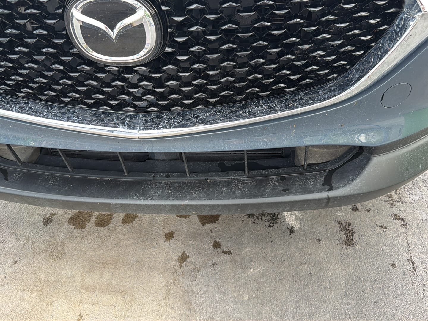 Green Gorilla Car Wash, photo 4