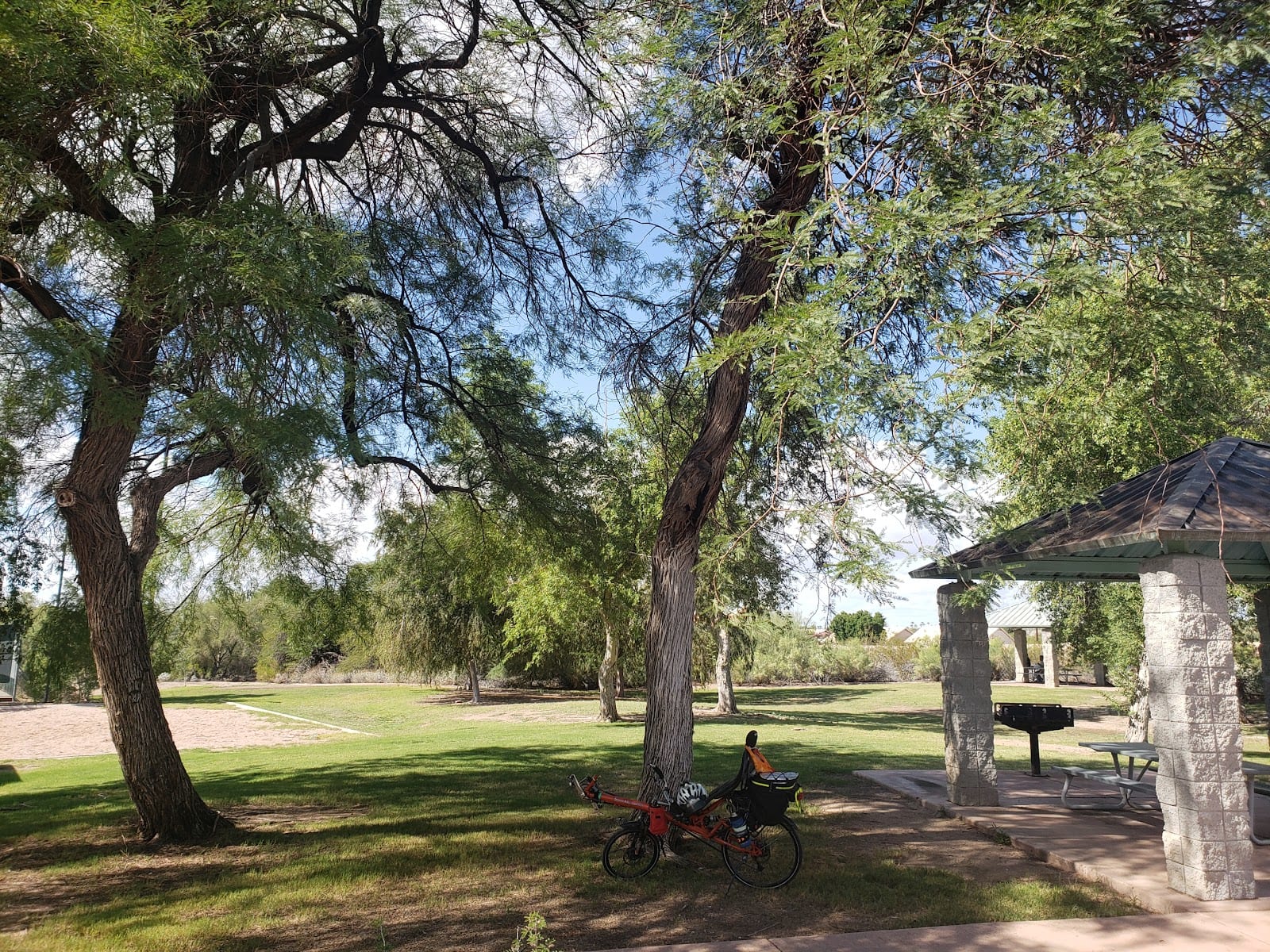 Cholla Park, photo 2