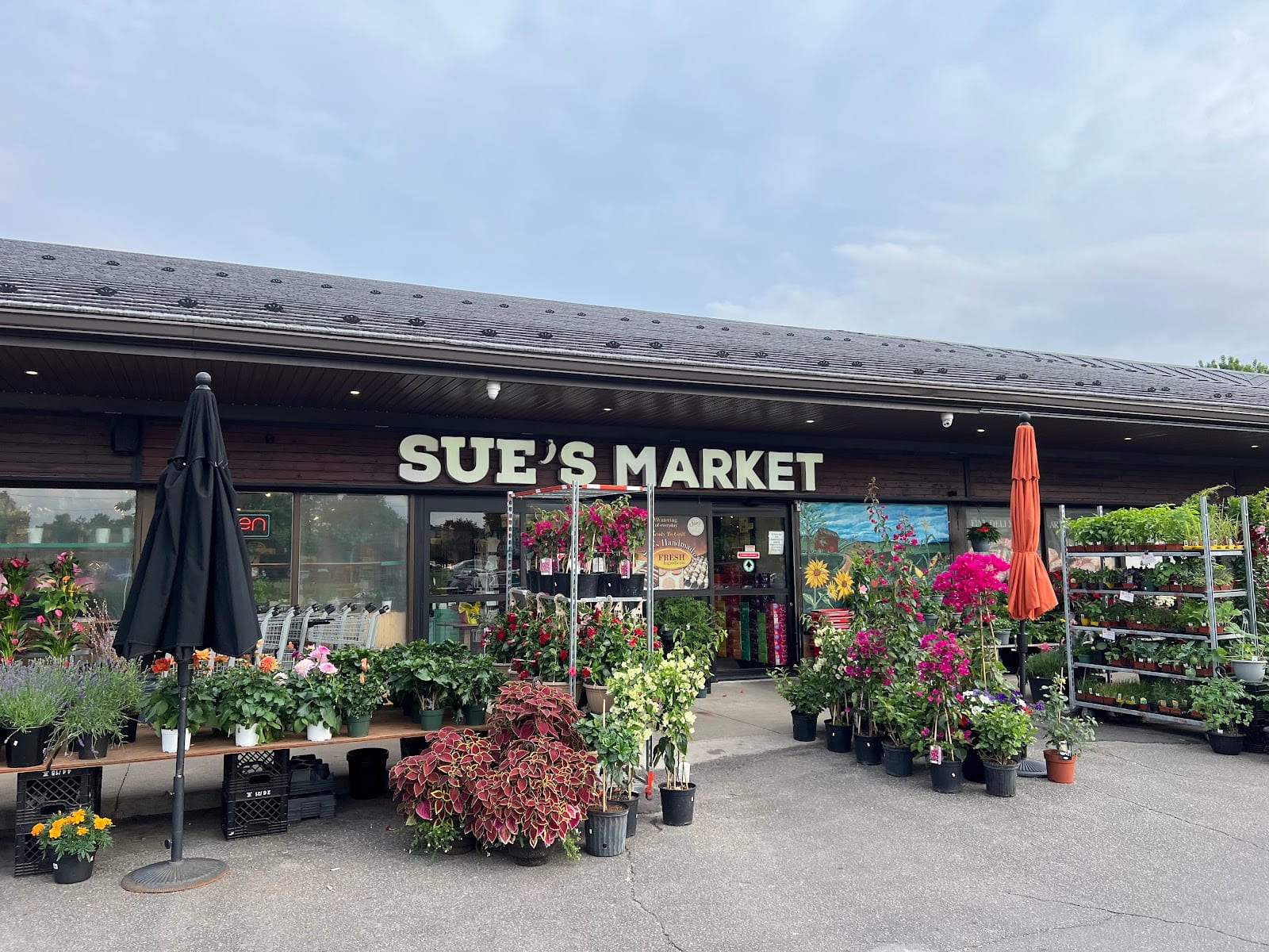 Sue's Market, photo 3