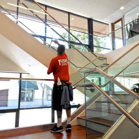 Fish Window Cleaning
