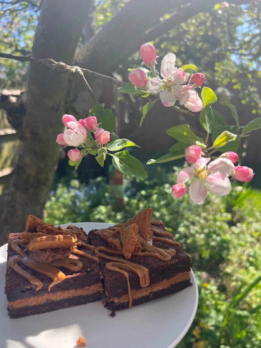 The Harpenden Cake Shed ~ An honesty box filled with fresh bakes, photo 4