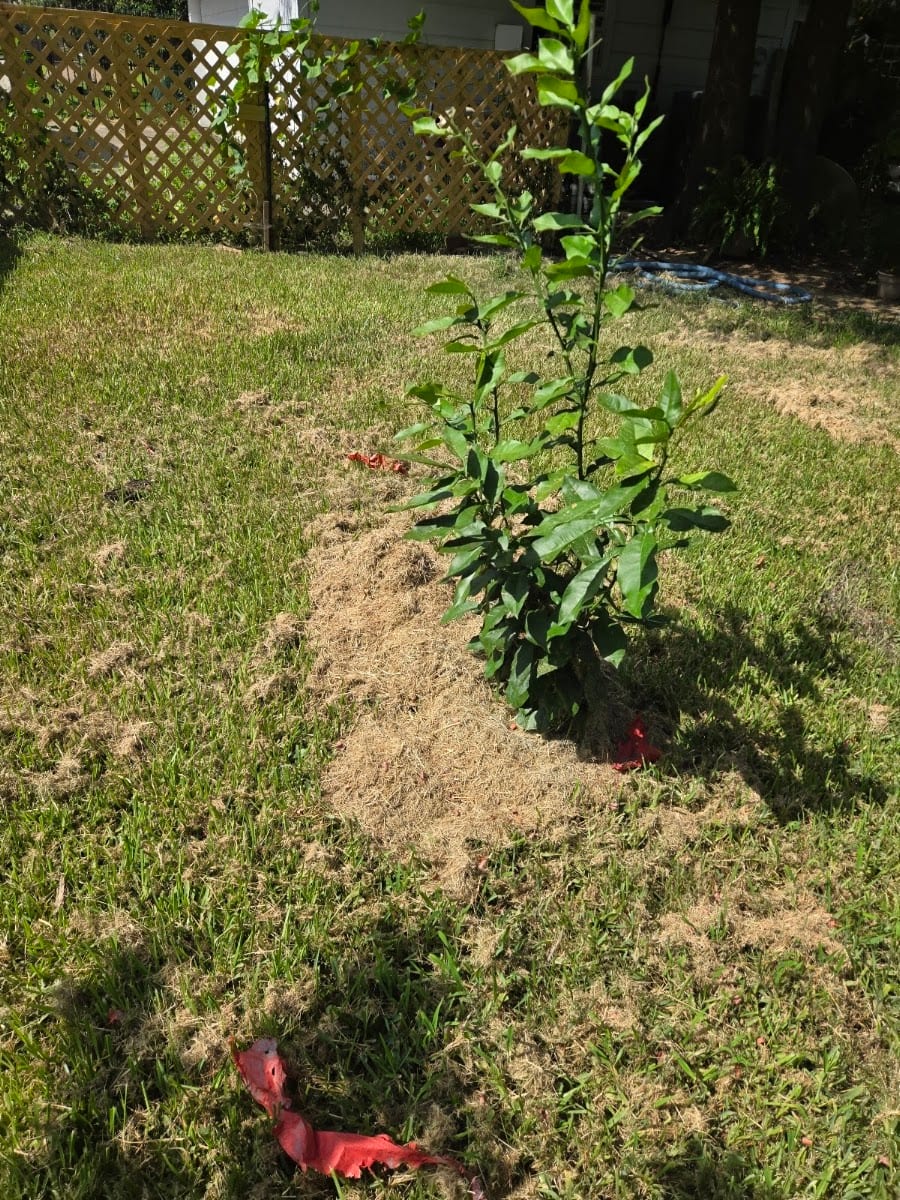 Cousins Lawn Care, photo 3