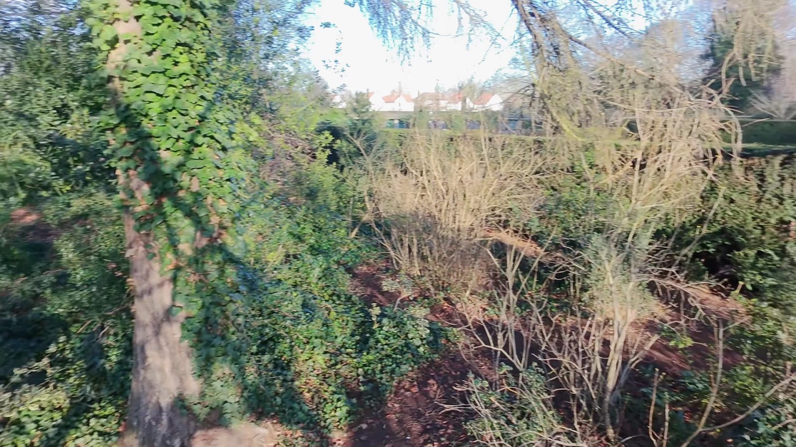 Heigham Park, photo 2