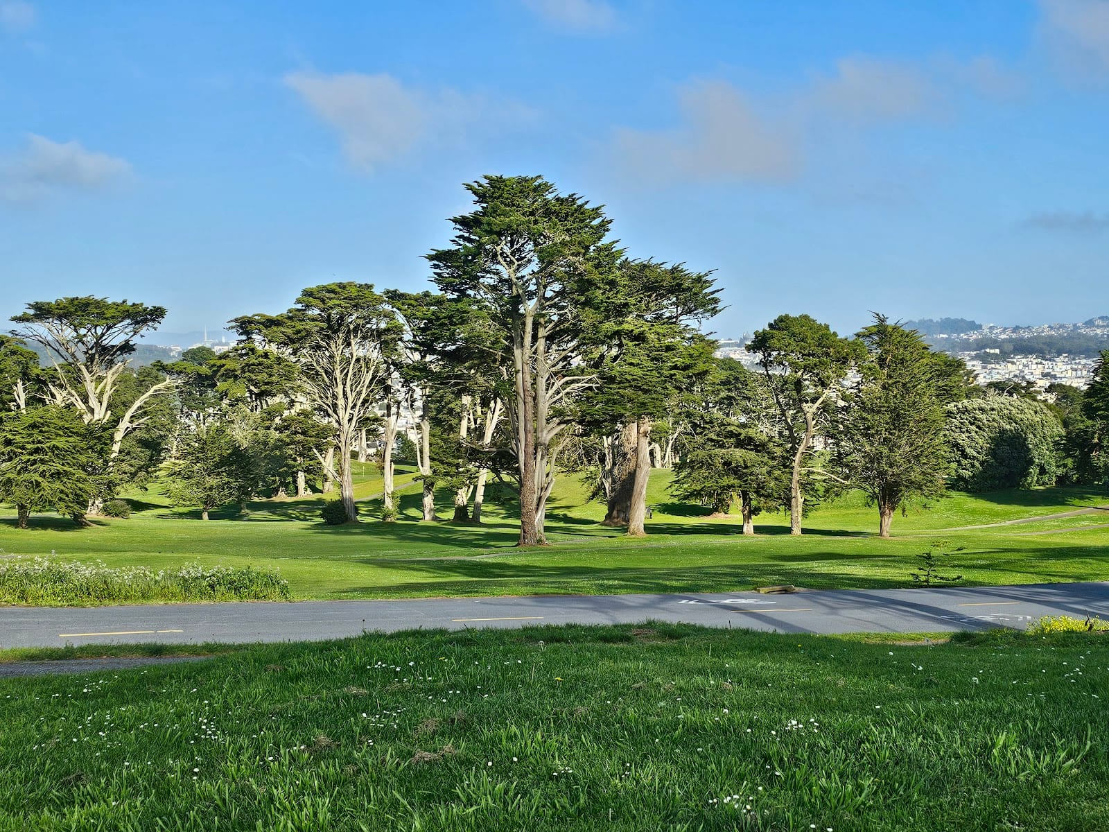 Lincoln Park, photo 3