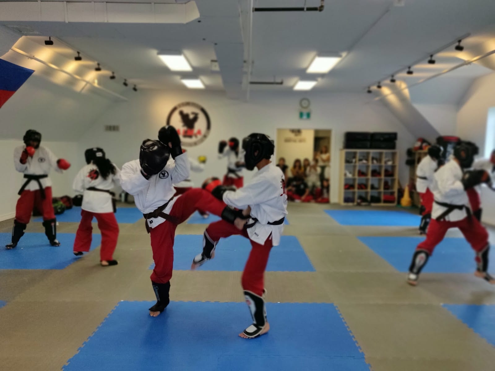 Academy of Integrated Martial Arts, photo 2