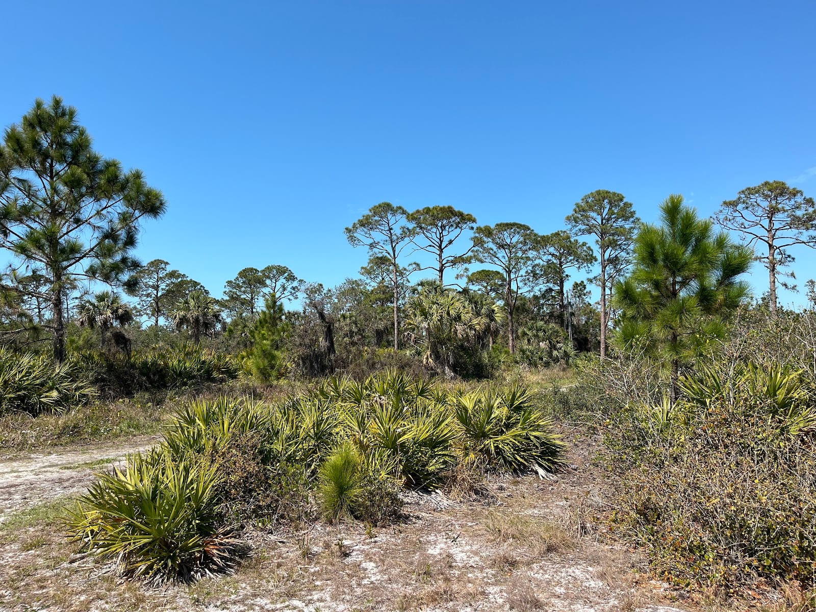 South Venice Lemon Bay Preserve