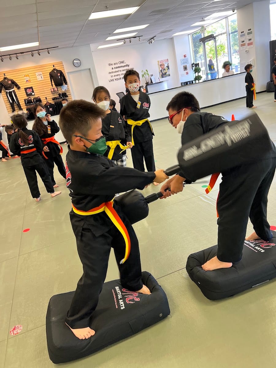 One Martial Arts - San Francisco, photo 4