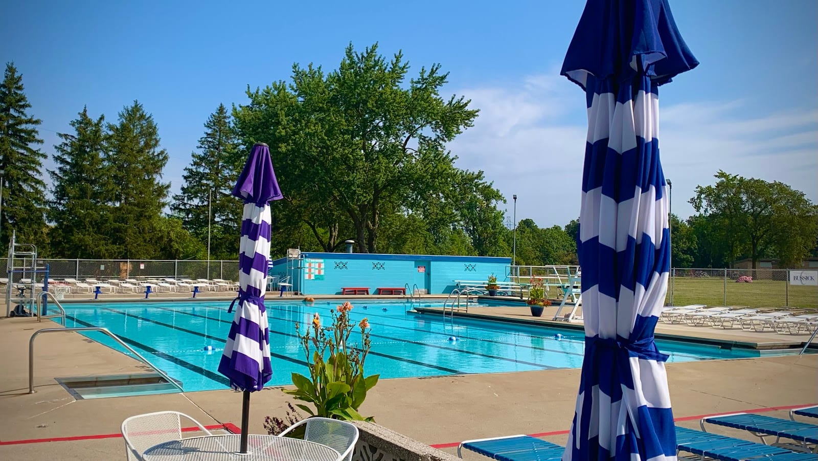 Poco Swim Club, photo 2