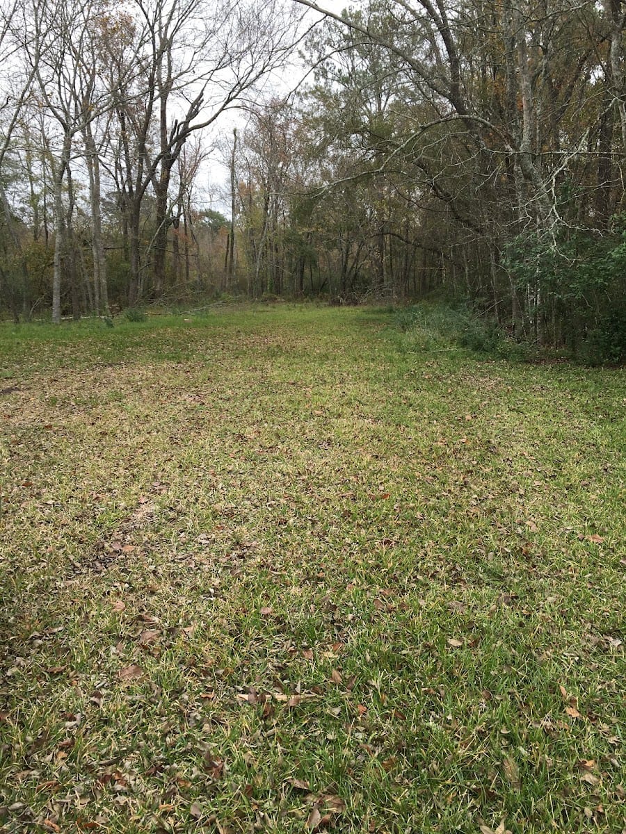 Raph's Lawn, Landscaping & More