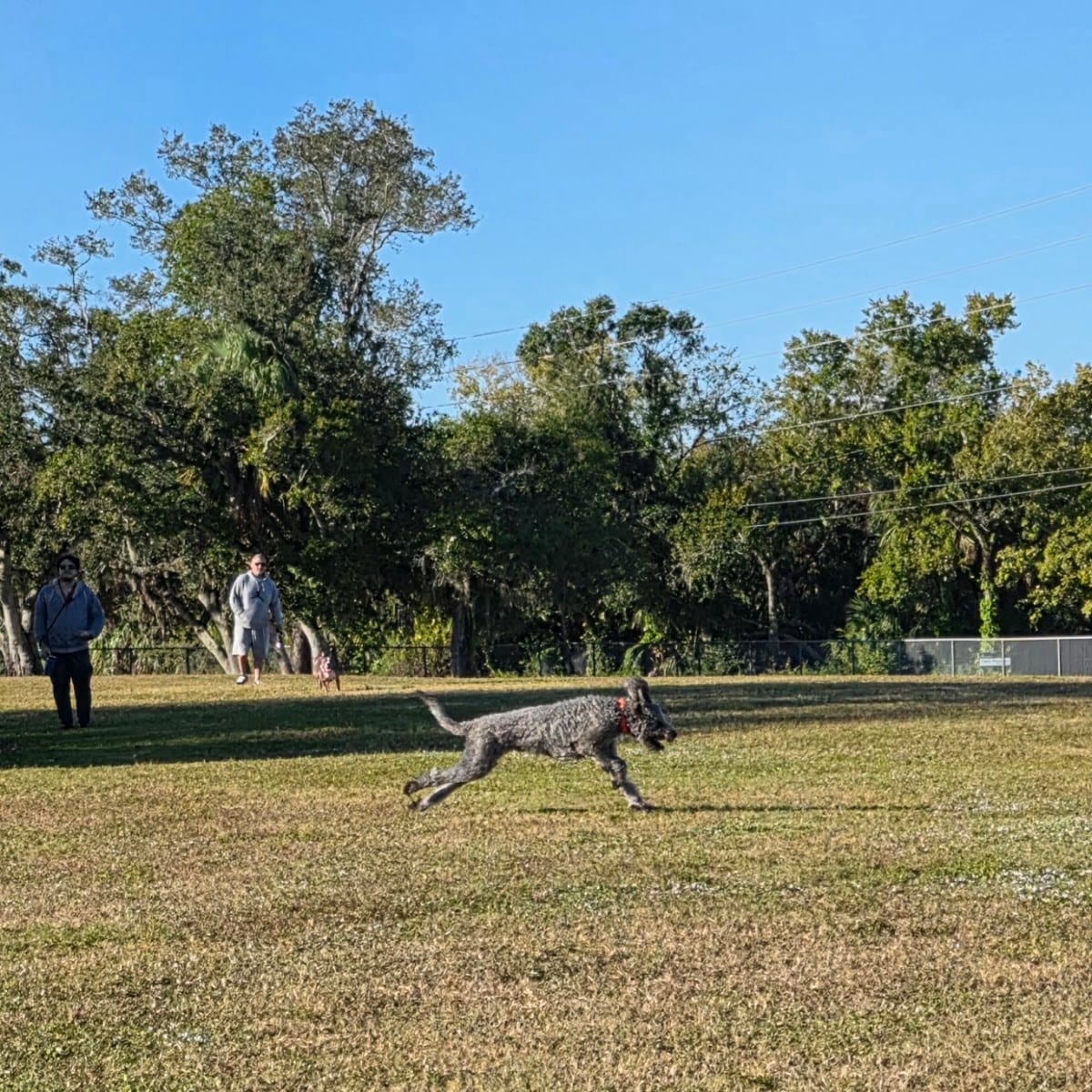 17th Street Park, photo 2