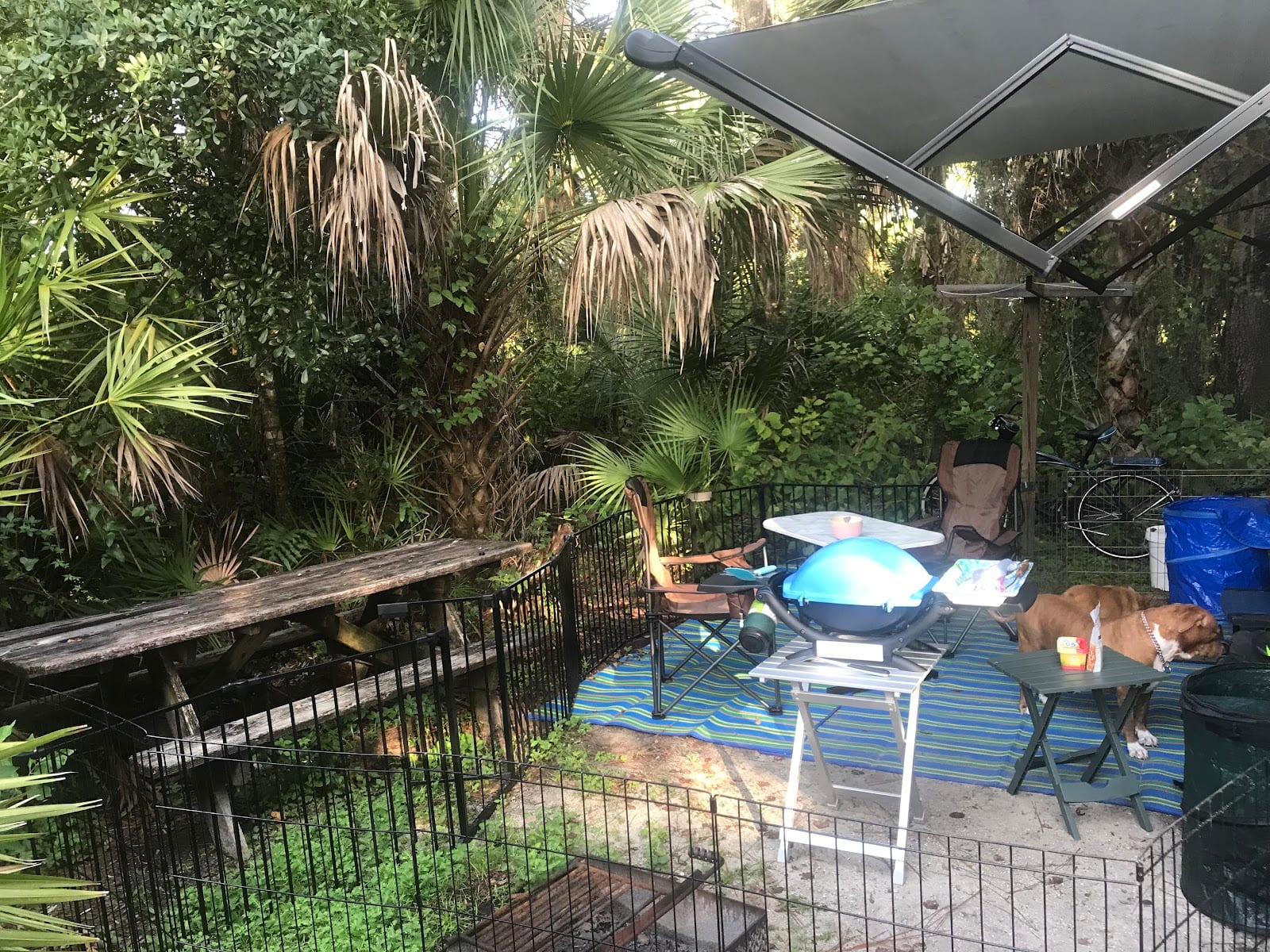Oscar Scherer State Park Campground