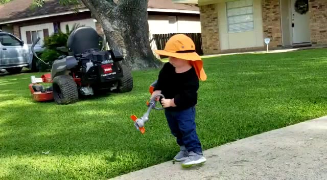 No Life Mow Life Lawn Maintenance LLC, photo 3
