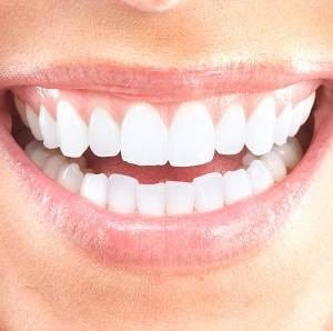 Dr Kirk E Scott MD DDS