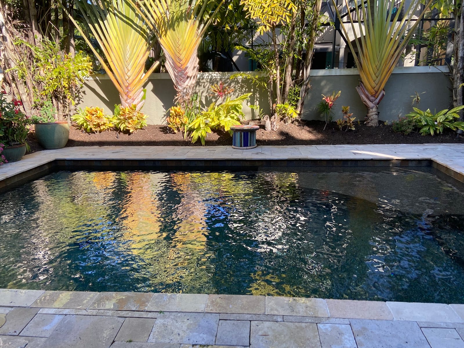 Sarasota Pool Cleaning And Repair, photo 3