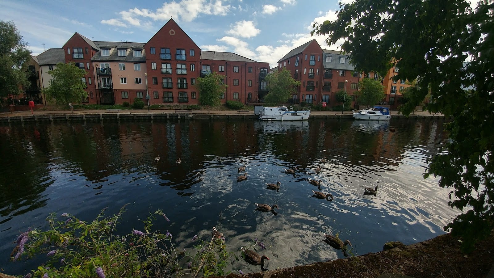Wensum Sports Centre, photo 3