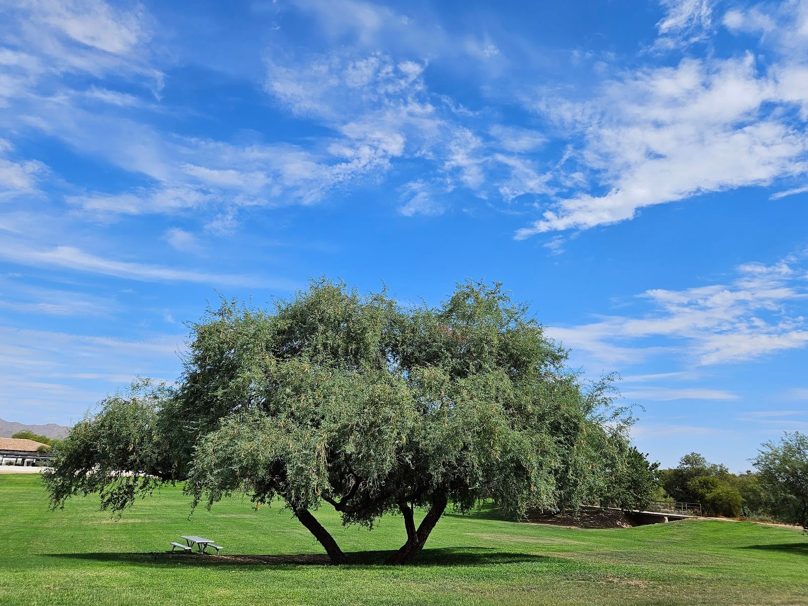 Northsight Park, photo 3