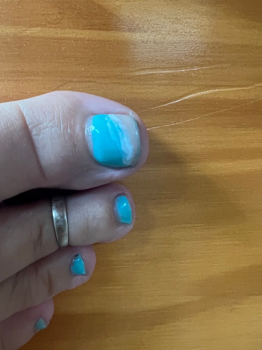 Nails By Regina @Salon Suites of Sarasota Florida, photo 4