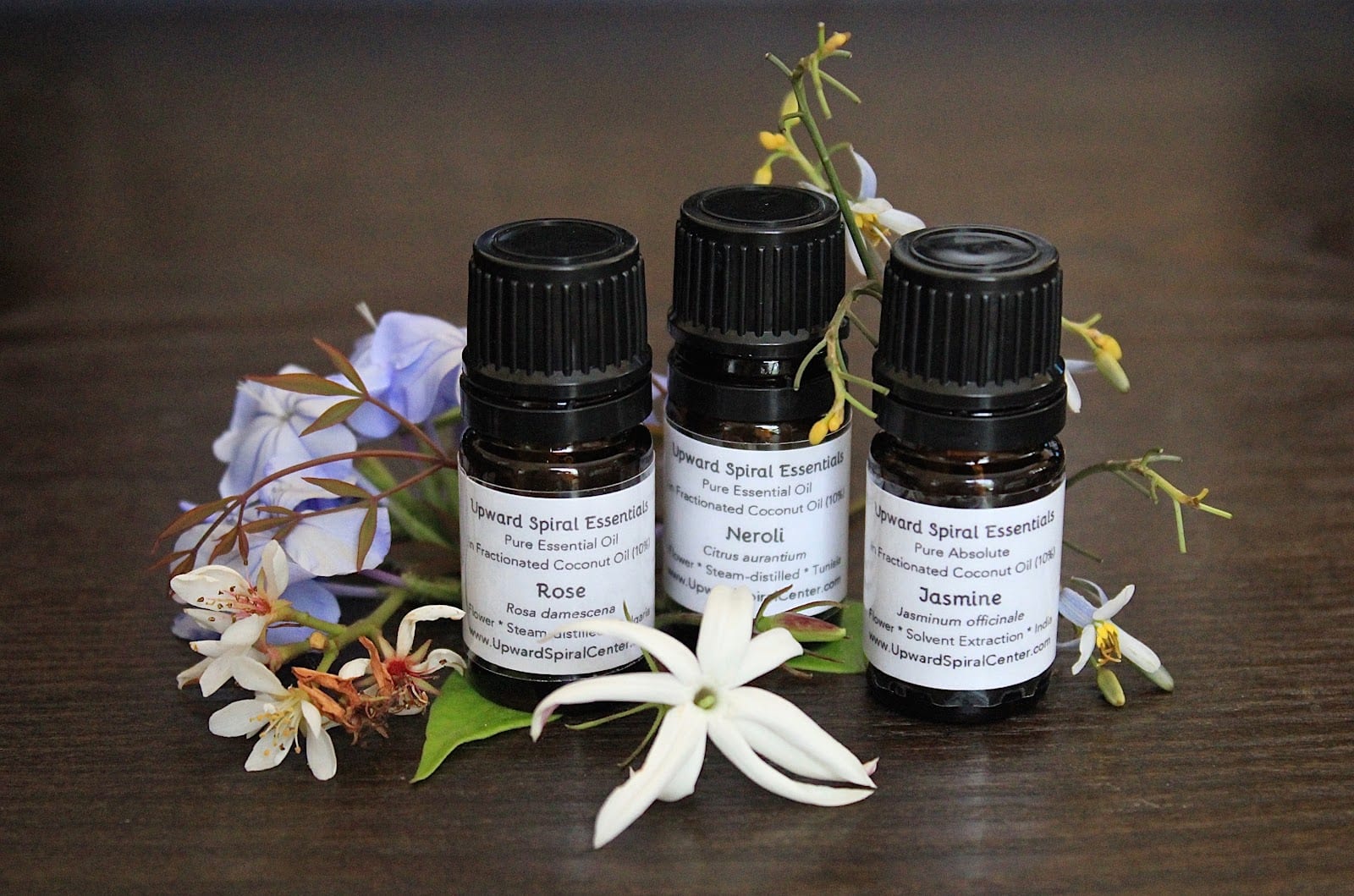 Upward Spiral Massage and Coaching, photo 3