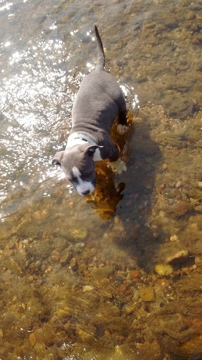 Riverview Park, photo 3