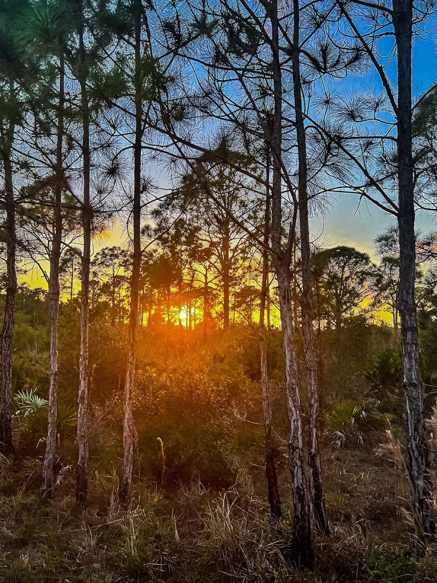Babcock Webb Wildlife Management Area