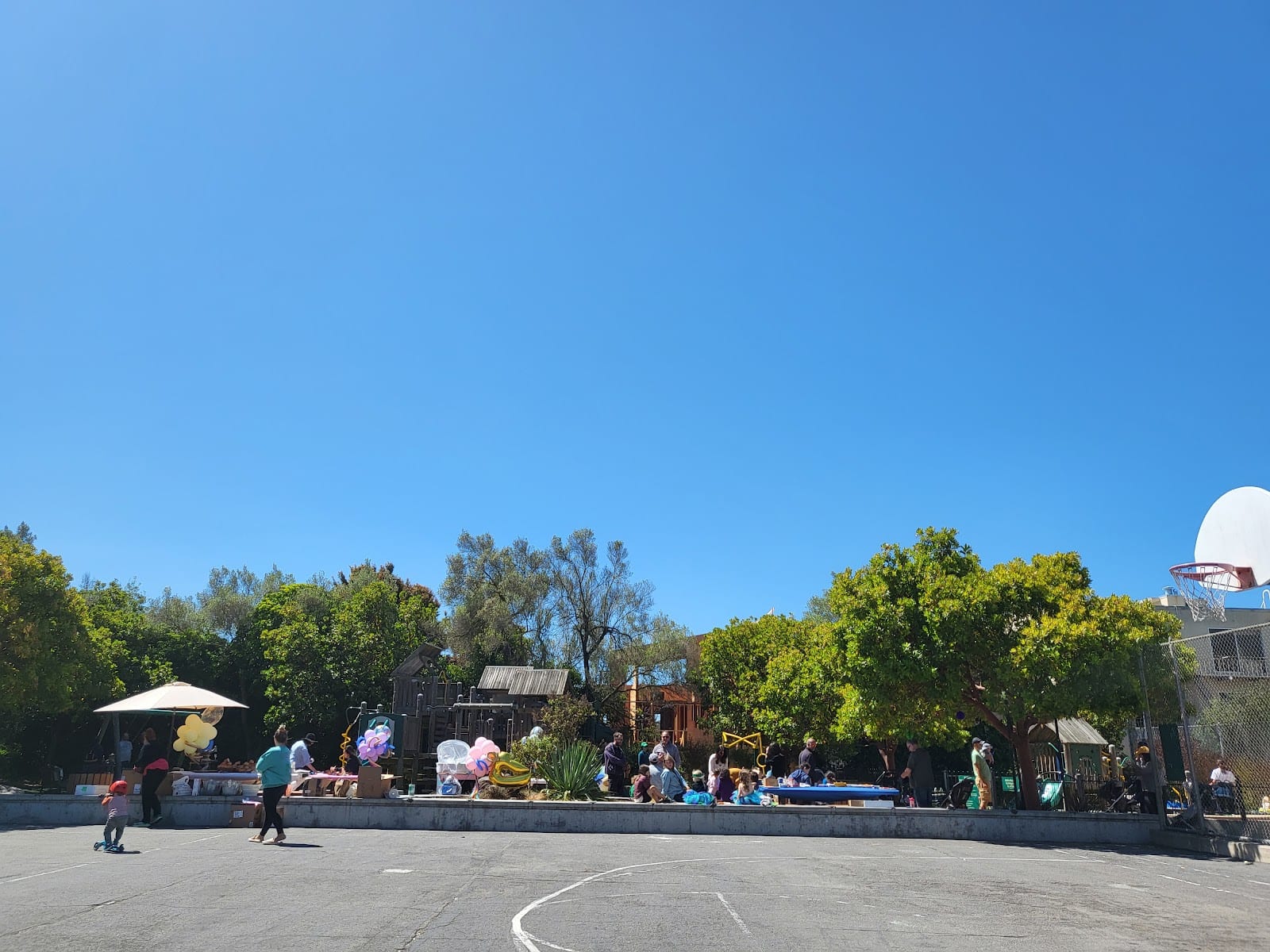Presidio Heights Playground Park, photo 2