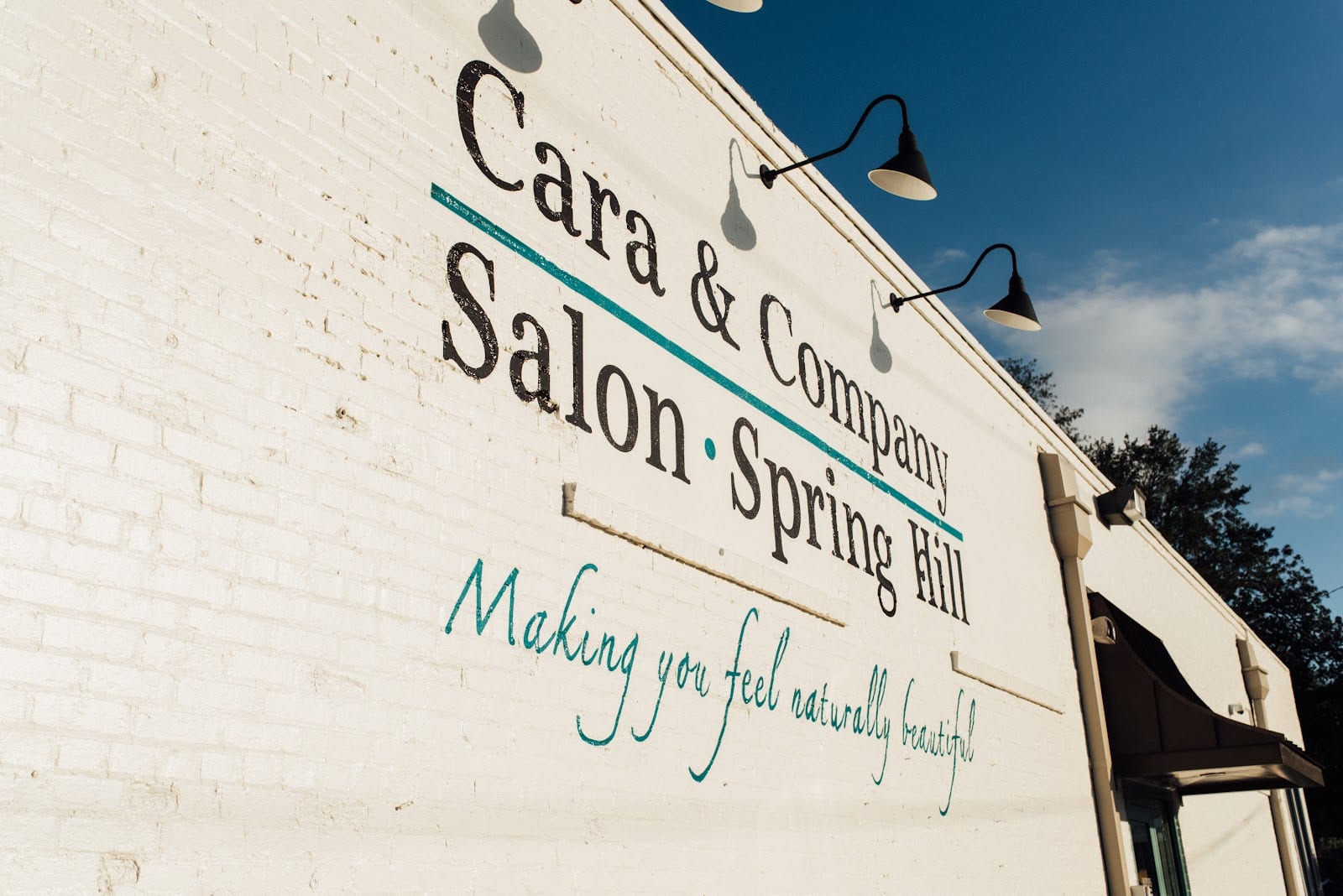 Cara & Company Salon, photo 2