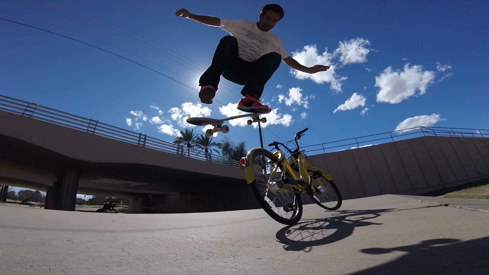 The Wedge Skate Park, photo 3