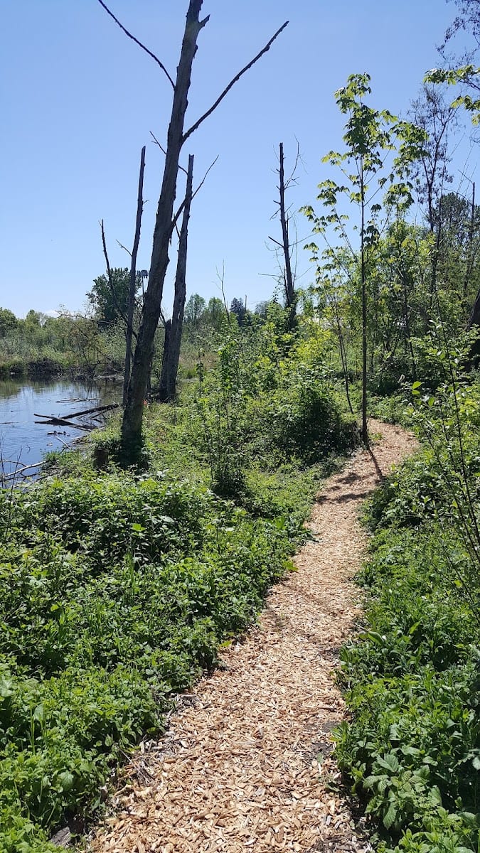 Minthorn North Natural Area, photo 3