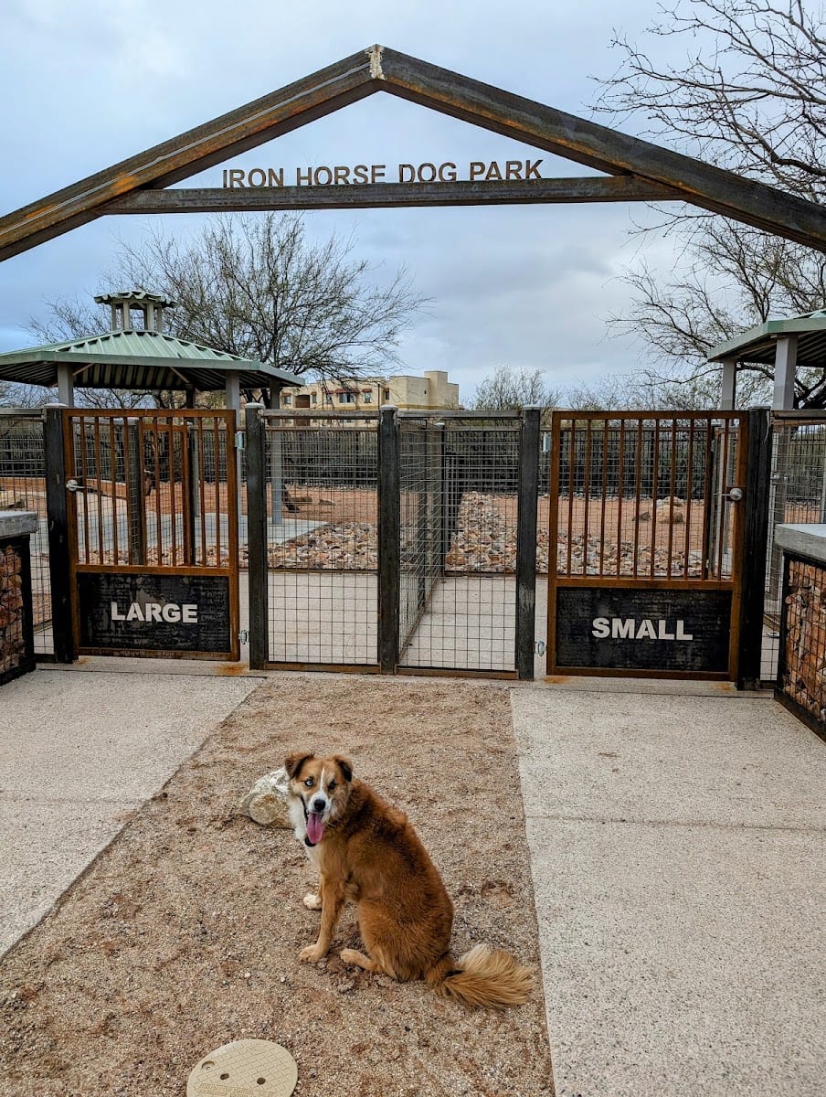 Iron Horse Dog Park, photo 3